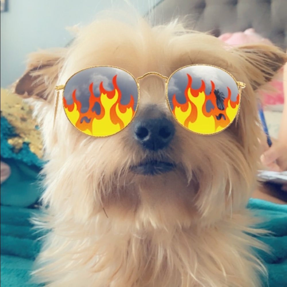 Meet your Posher, Anthony